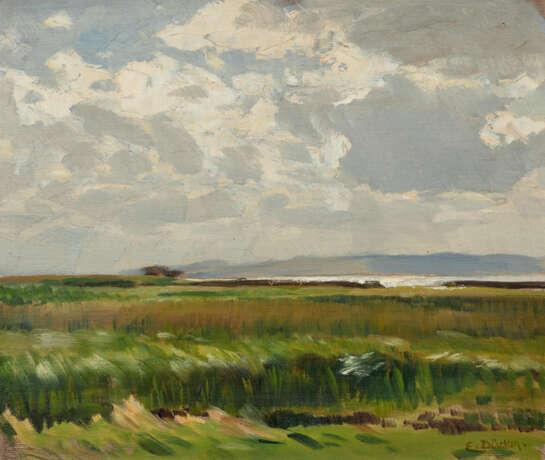 Salt Marshes on Baltic Sea Lagoon - photo 1