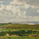 Salt Marshes on Baltic Sea Lagoon - photo 1