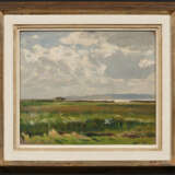Salt Marshes on Baltic Sea Lagoon - photo 2