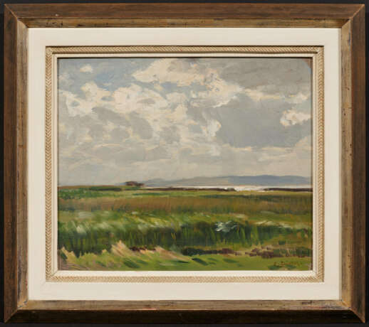 Salt Marshes on Baltic Sea Lagoon - photo 2