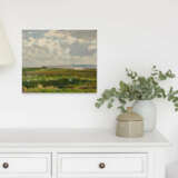 Salt Marshes on Baltic Sea Lagoon - photo 4