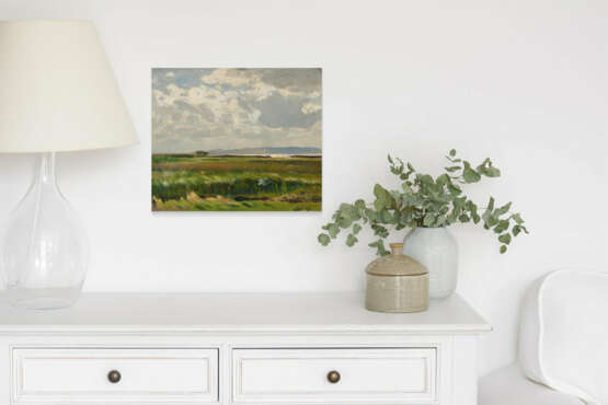Salt Marshes on Baltic Sea Lagoon - photo 4