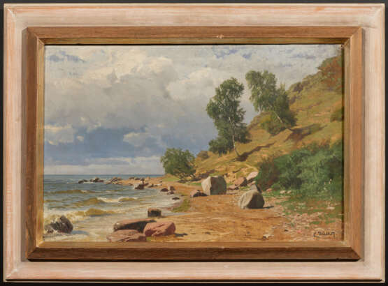 Baltic Sea Coast with Birch Trees on a Slope - фото 2