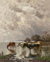 Cows on Lakeshore