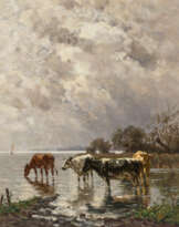 Cows on Lakeshore