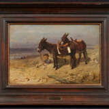 Boy with Two Donkeys on the Beach - photo 2