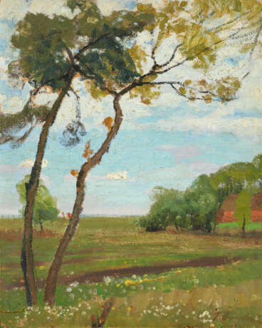 Spring in the Moor - photo 1