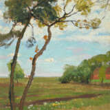 Spring in the Moor - photo 1