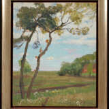 Spring in the Moor - photo 2