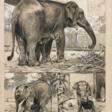 Elephant Mother with Elephant Calf in the Berlin Zoo - Now at the auction