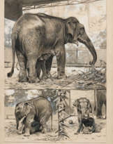 Elephant Mother with Elephant Calf in the Berlin Zoo
