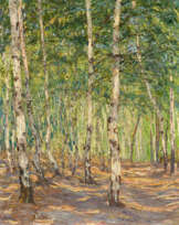 Birkenwald bei der Hellerschänke