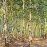 Birkenwald bei der Hellerschänke - photo 1