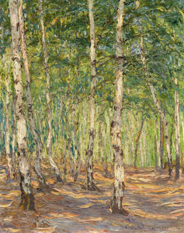 Birkenwald bei der Hellerschänke - photo 1