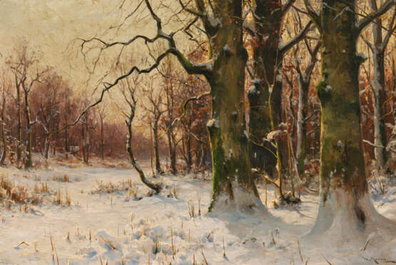 Wintry Forest - photo 1