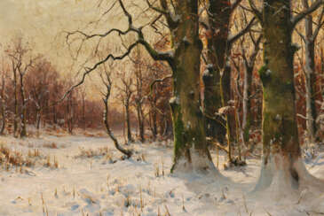 Wintry Forest