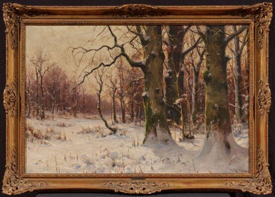 Wintry Forest - photo 2