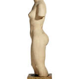ARISTIDE MAILLOL (1861-1944) - photo 6