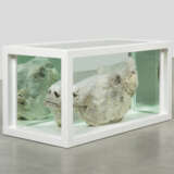 DAMIEN HIRST (B. 1965) - photo 1