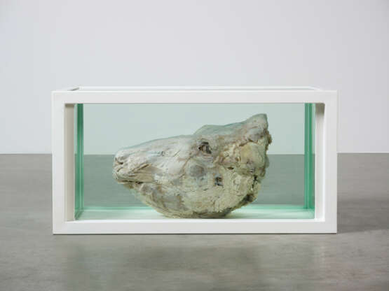 DAMIEN HIRST (B. 1965) - photo 2
