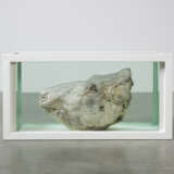 DAMIEN HIRST (B. 1965) - photo 2