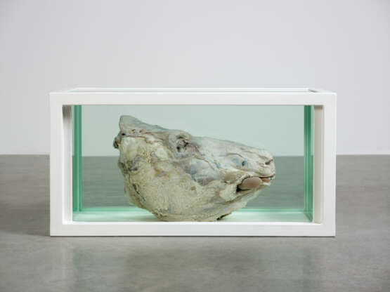 DAMIEN HIRST (B. 1965) - photo 3