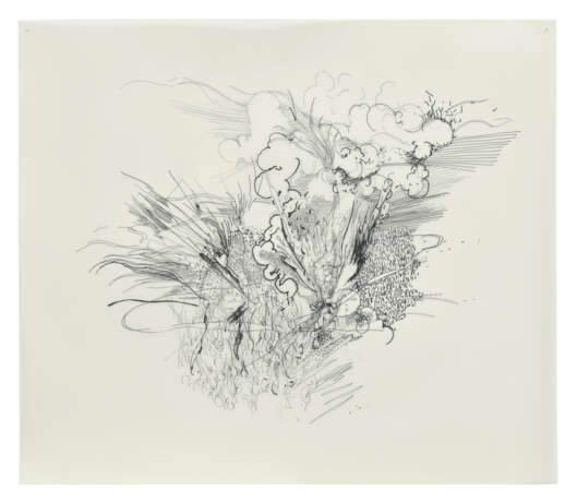 JULIE MEHRETU (B. 1970) - photo 1