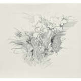 JULIE MEHRETU (B. 1970) - photo 1