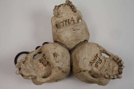 Memento Mori - Foto 4