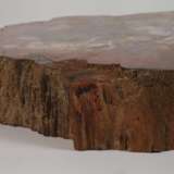 Segment versteinertes Holz - photo 3