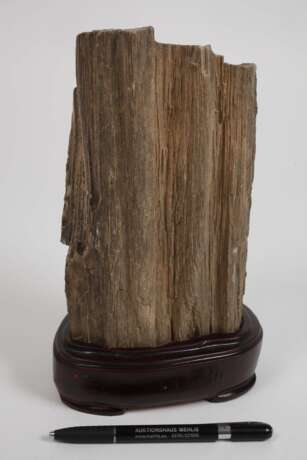 Versteinertes Holz - photo 2