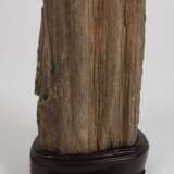Versteinertes Holz - photo 2