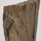 Versteinertes Holz - photo 3