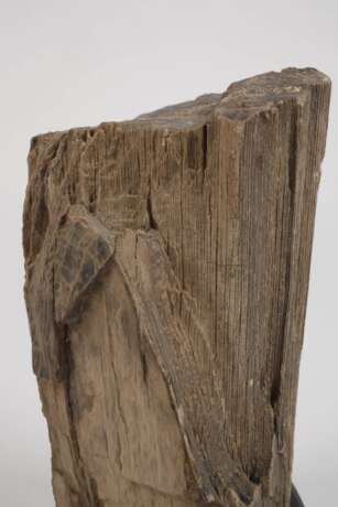 Versteinertes Holz - photo 3