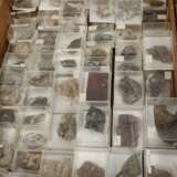 Umfangreiche Mineraliensammlung Odenwald - photo 2
