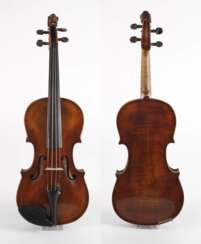 Violine