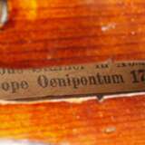 Violine - photo 10