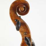 Violine - Foto 11