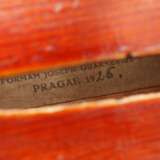 Violine - photo 9