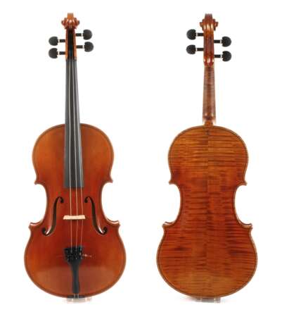 Viola - photo 1