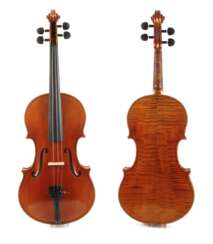 Viola