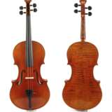 Viola - photo 1