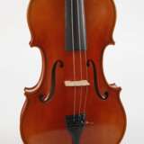 Viola - photo 2