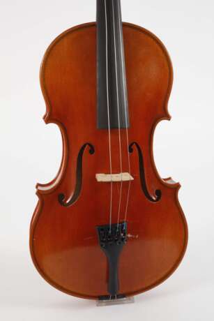 Viola - photo 2