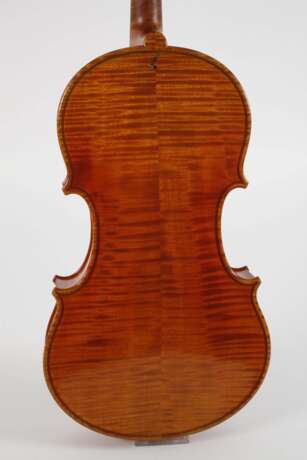 Viola - photo 3