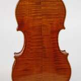 Viola - photo 3