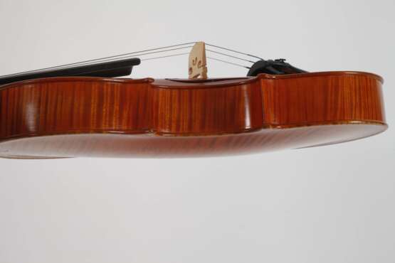 Viola - photo 4