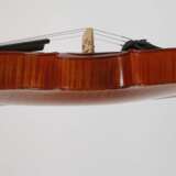Viola - photo 4