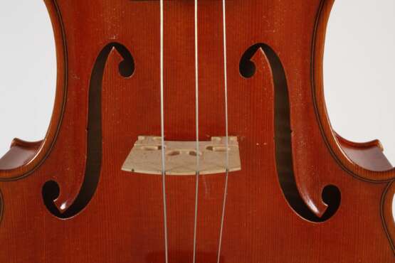 Viola - photo 5