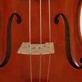 Viola - photo 5